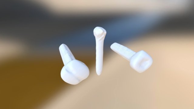 Screws And Nail 3D Model