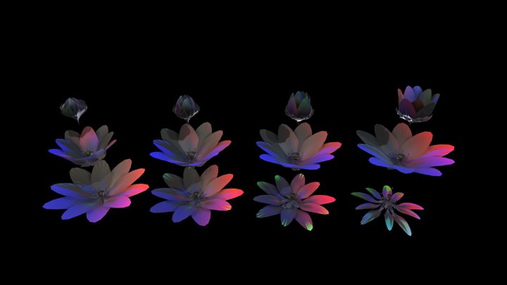 Digital_Flower_c_uv colored_by xyzuvwopq 3D Model