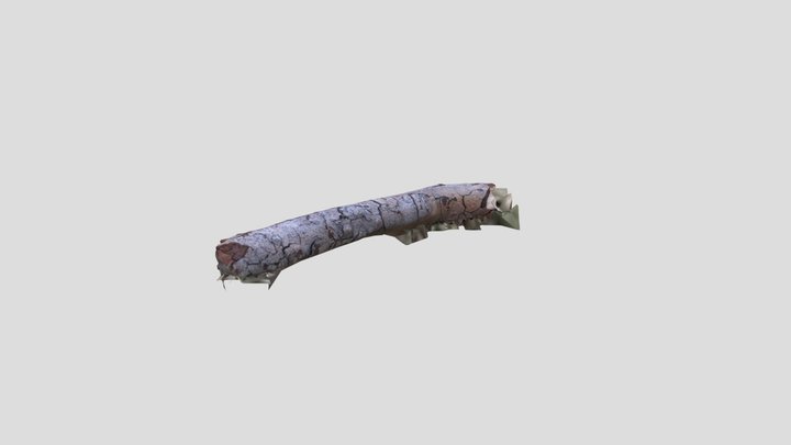 Branch