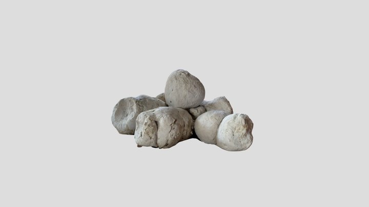Hyena Poop 3D Model