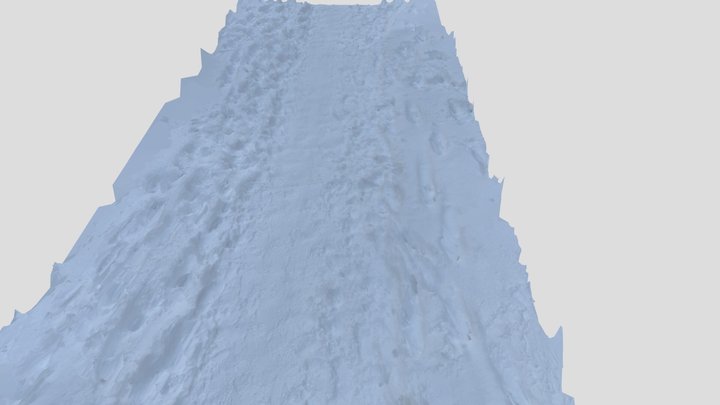 Snowy road 3D Model