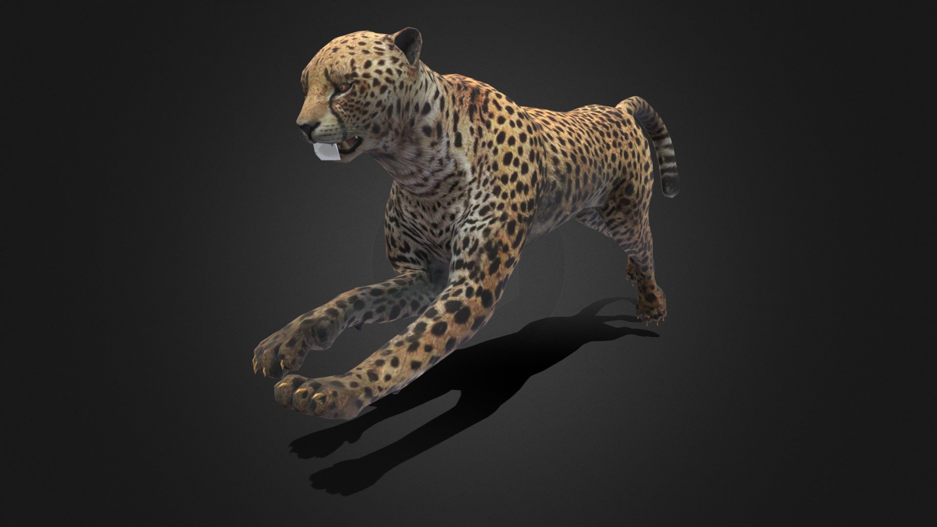 Cheetah Rigged Animated Buy Royalty Free 3d Model By Owltic