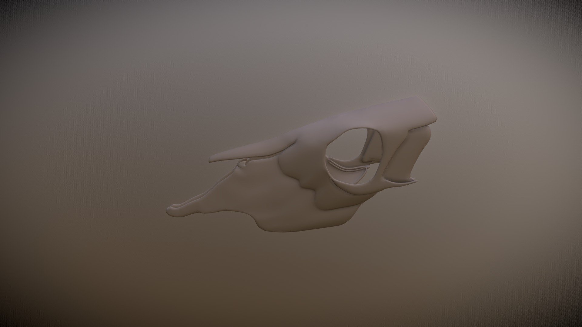 Skull