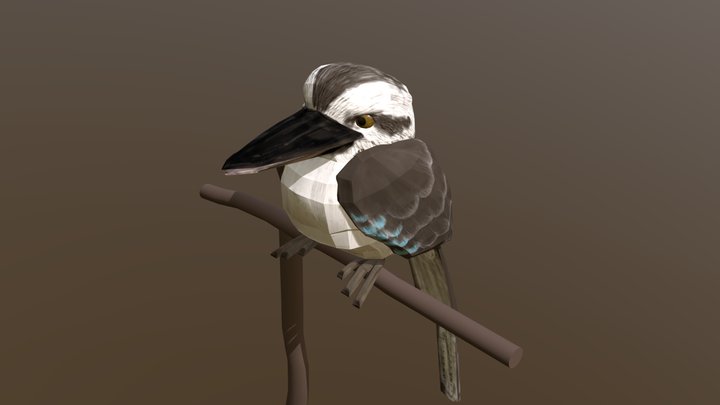 Kookaburra 3D Model