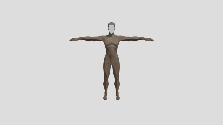 Faceless 3D Model