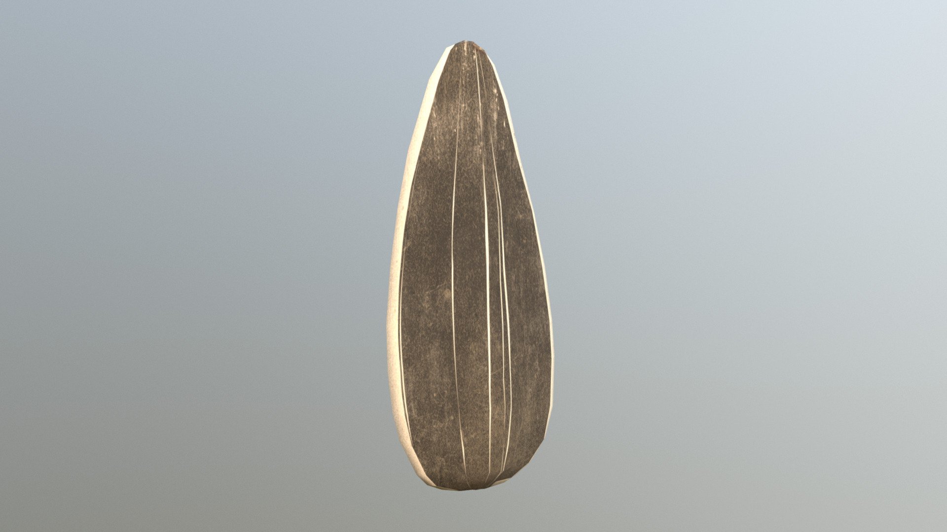 Sunflower Seed — Sketchfab embed 3D viewer