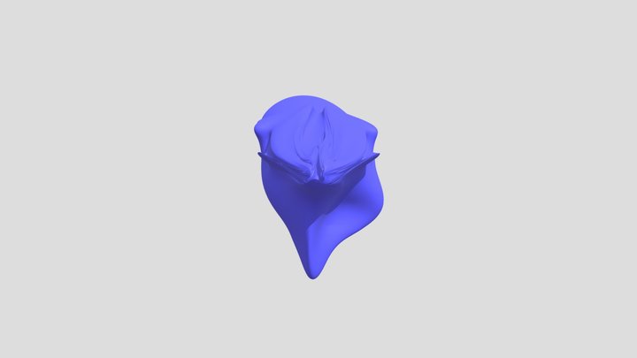 My model 3D Model