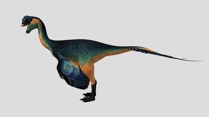 Oviraptor Male Accurate Rigged (Beryl Skin)