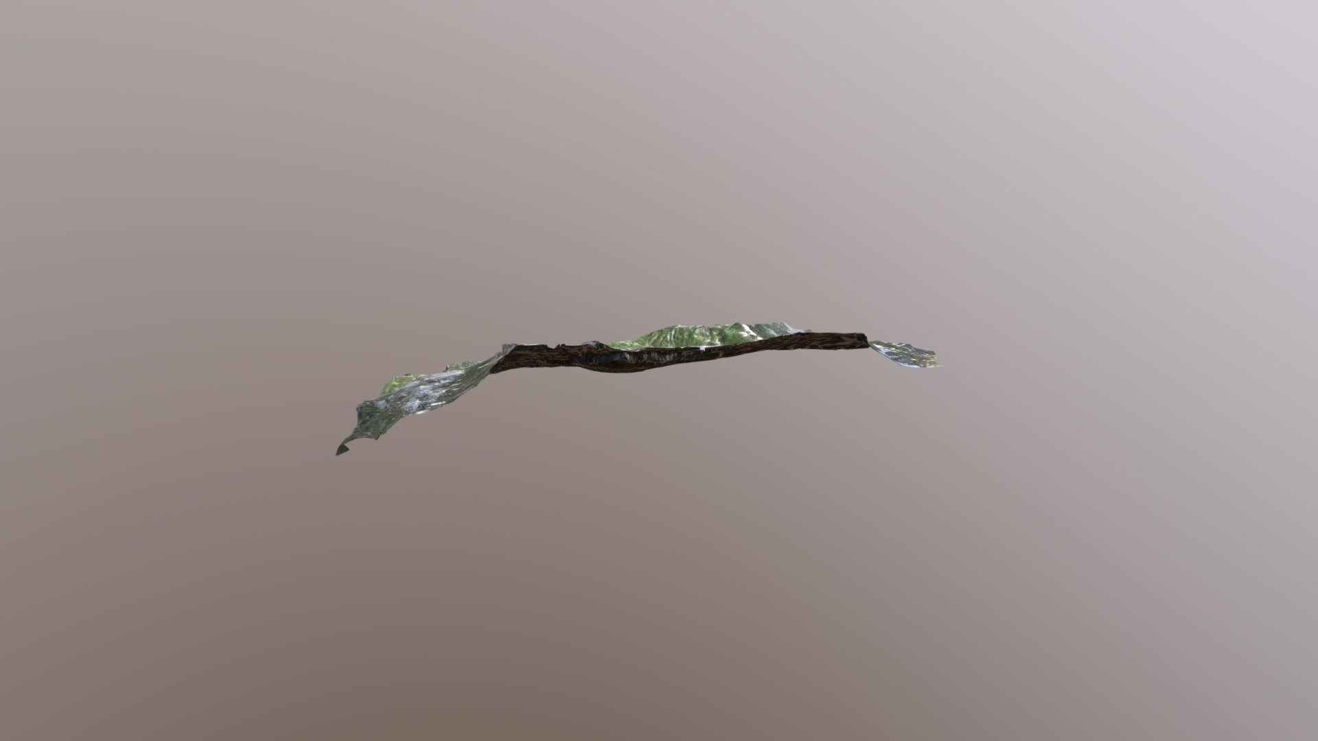 model2