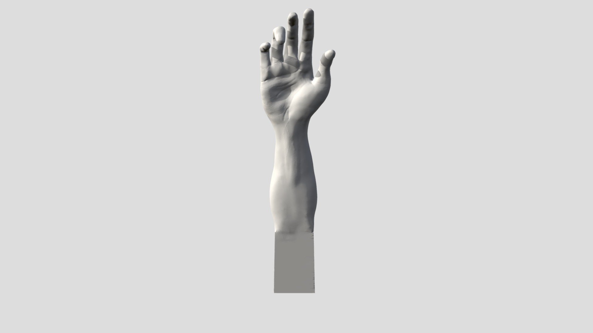 hand - 3D model by alinamacenko2167 [68905ff] - Sketchfab