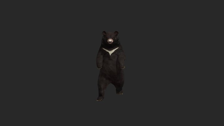 bear_upright_walking_v00040029 3D Model