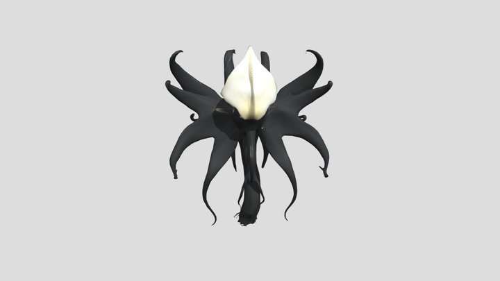 Nocturnal Elegance 3D Model