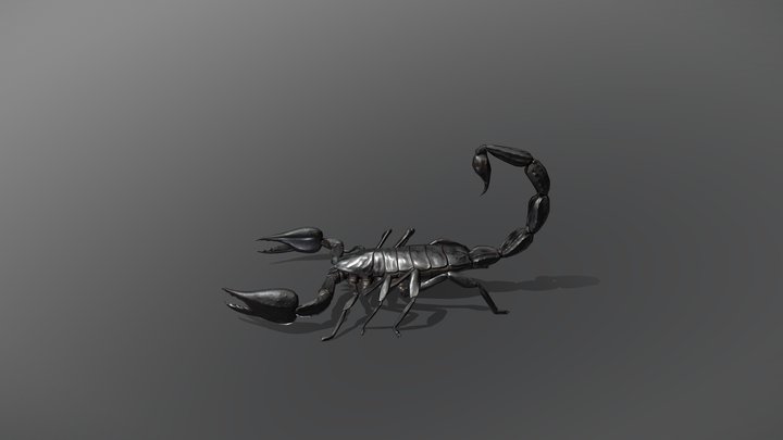 Black Scorpion 3D Model