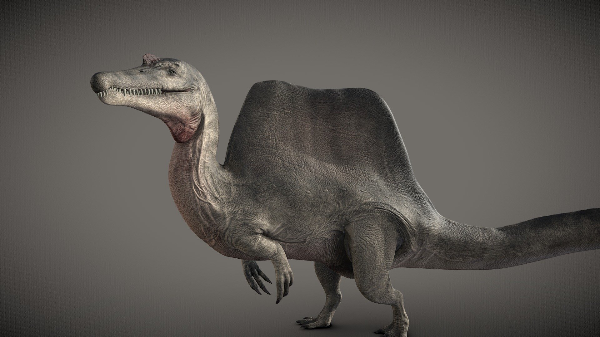 Spinosaurus Aegyptiacus 3d Model By Digeloo Digeloo 6a1c9