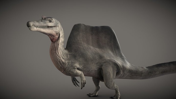 Spinosaurus Aegyptiacus 3D Model