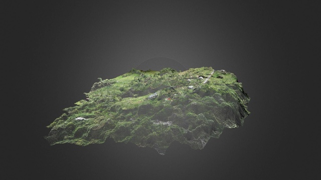 Nube de puntos de terreno 3D Model