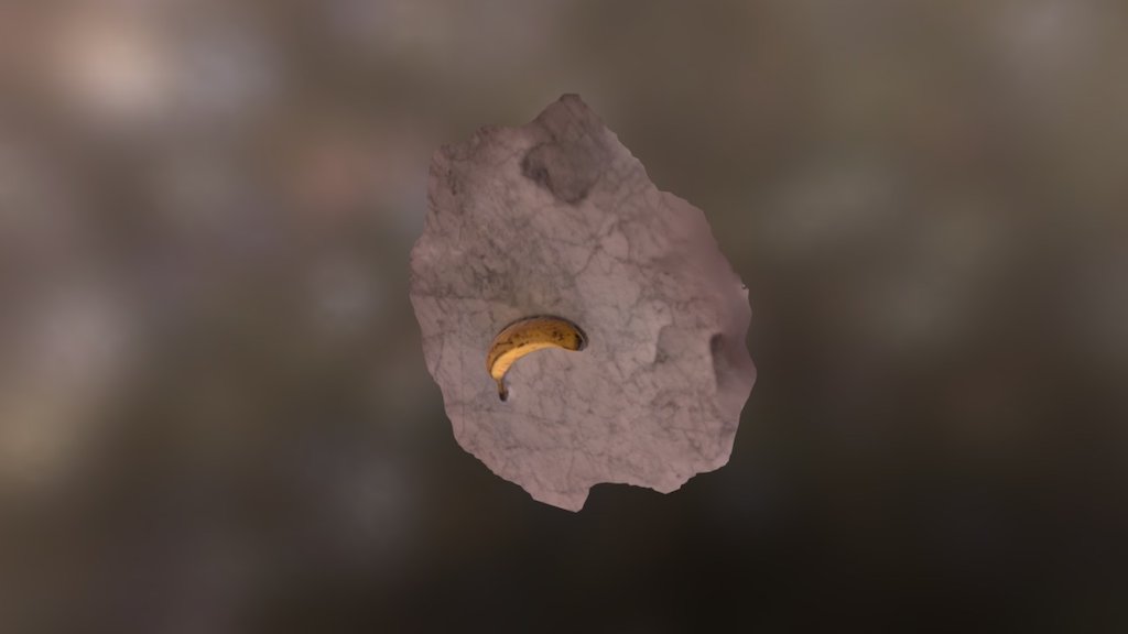 A TRNIO Model