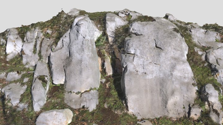 I Gasteropodi 3D Model