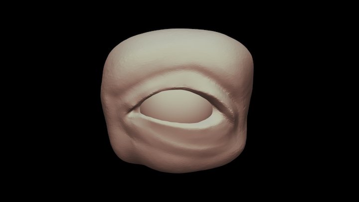Eye | Anatomy Practice 3D Model