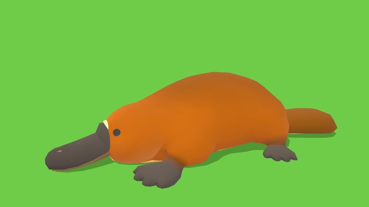 Platypus - Animated Low Poly – Kostenloses 3D-Modell STL