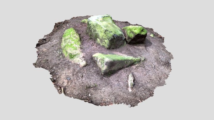 Ground Rocks 001 3D Model
