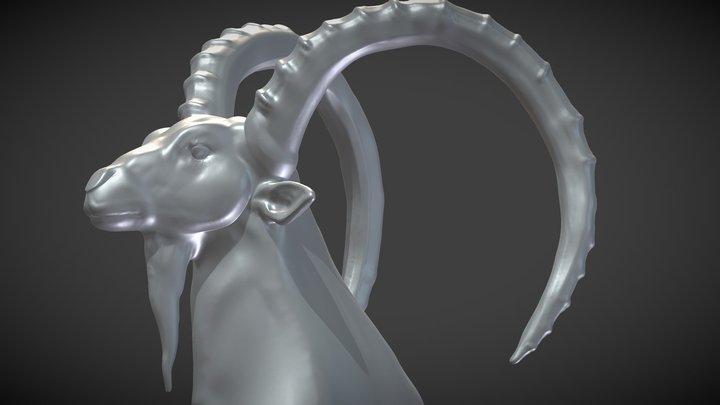 Ibex head 3D Model