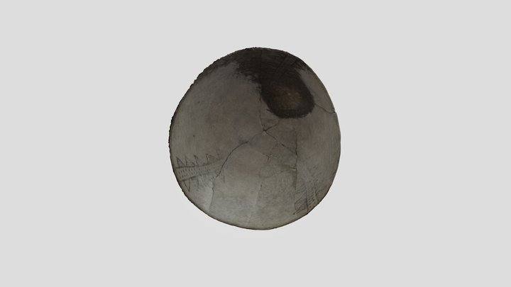 Watson site- Chapin B/w bowl 3D Model