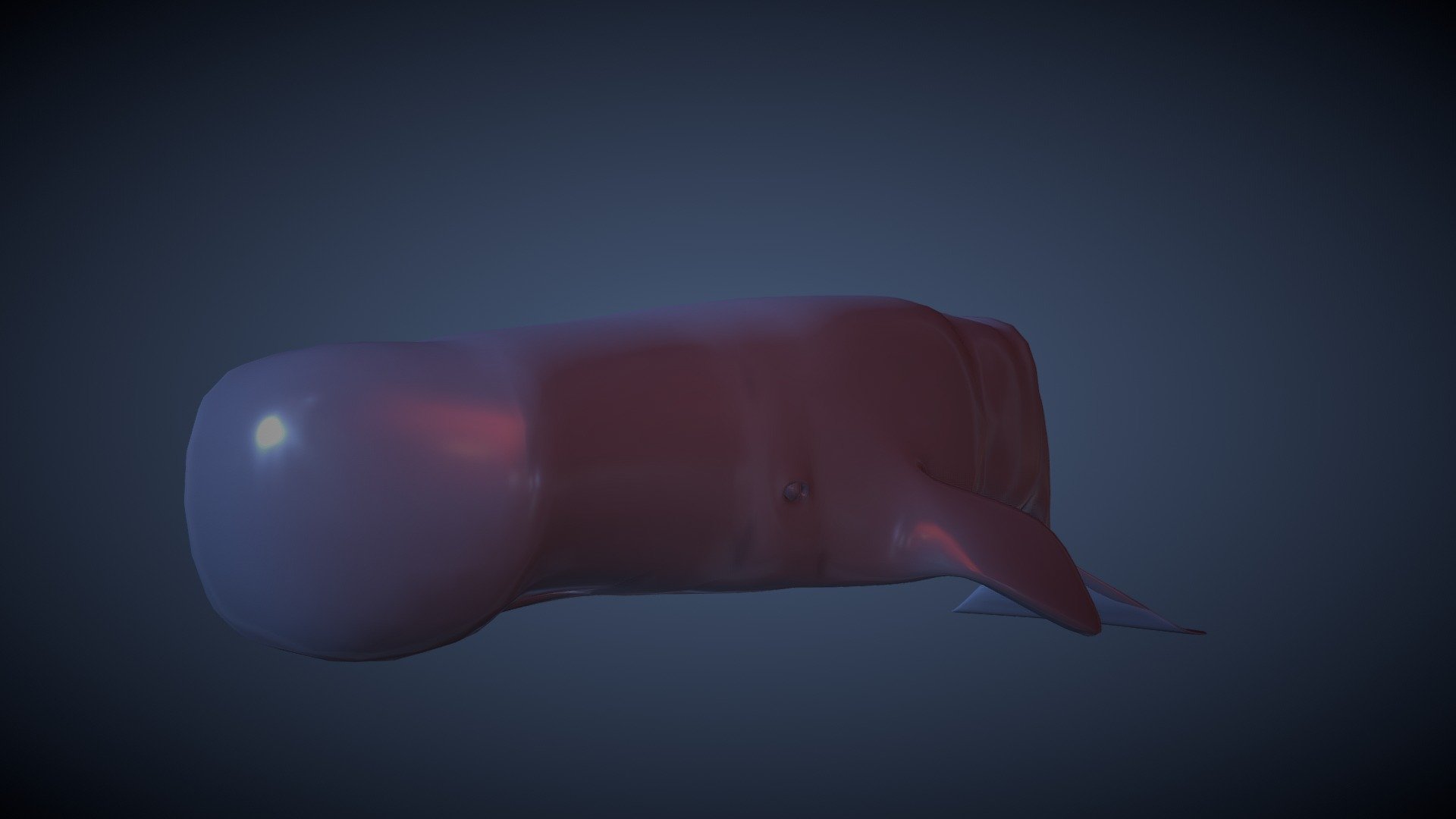 Sperm Whale