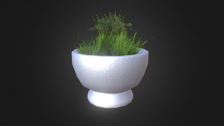 Simple Potted plant – Kostenloses 3D-Modell STL