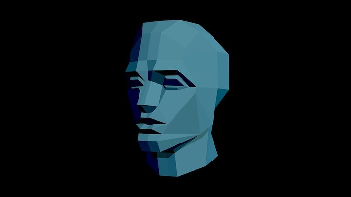 Anatomy Reference - A 3D model collection by Benji (@contact.benjiro ...