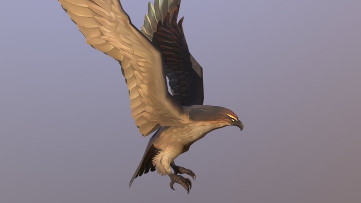 Cartoon Bird Eagle Hawk 3D Model