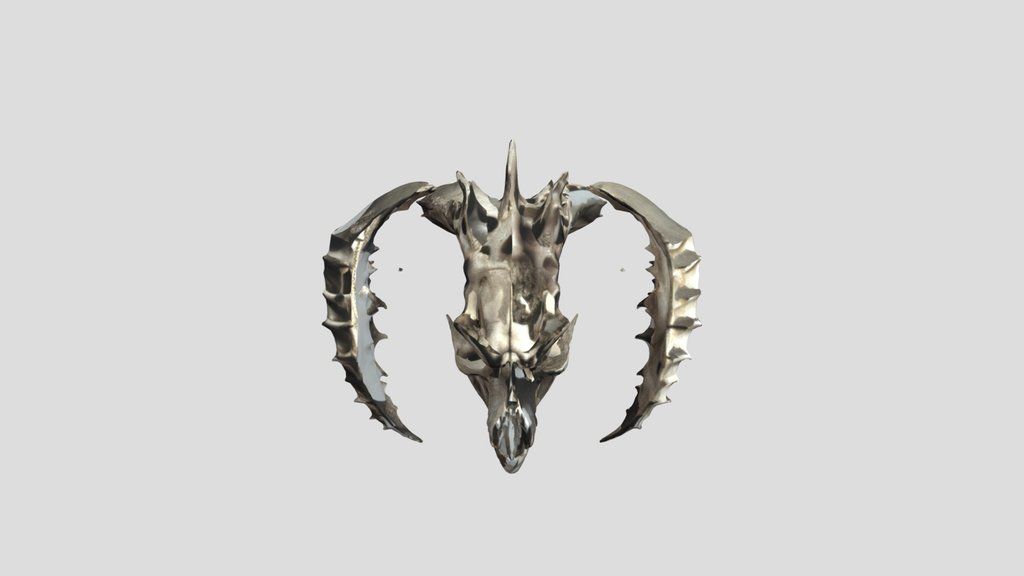 Dragon Skull — 3D Model | Game Ready | PBR Textu