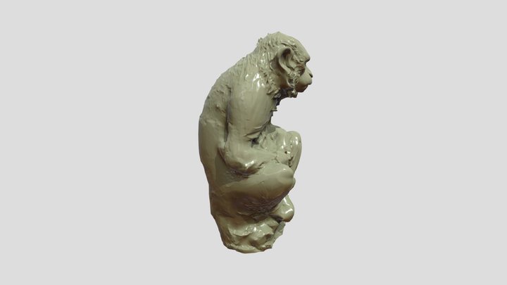 CLAY MONKEY 3D Model