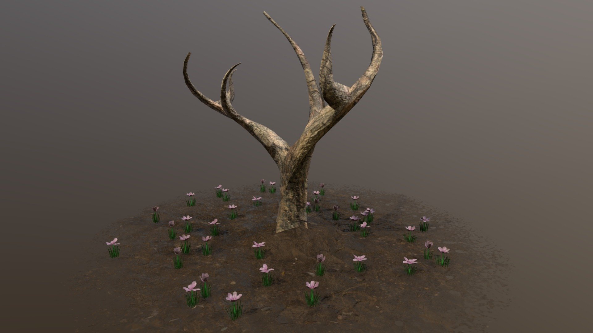 Plant Environment