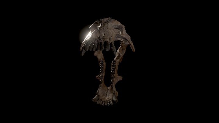 Chrome Dino Game 3D - A 3D model collection by MayMax - Sketchfab