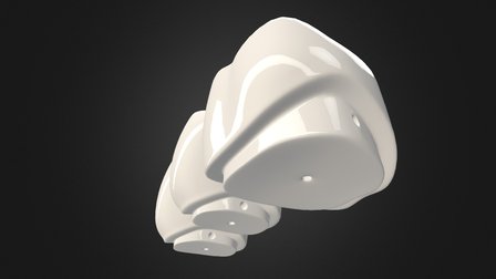 Zeby 3D Model