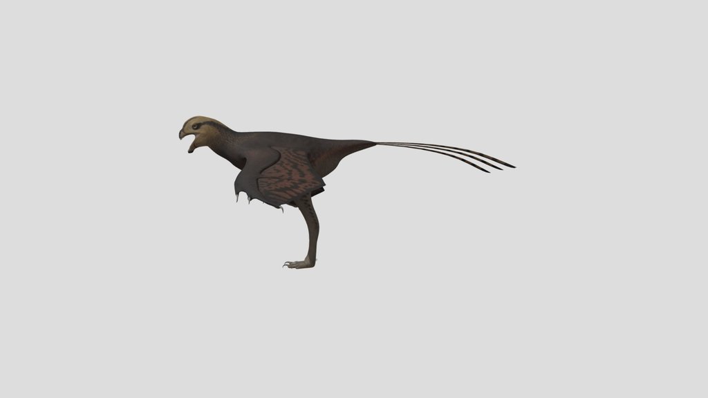 Yi Qi Female Accurate Rigged