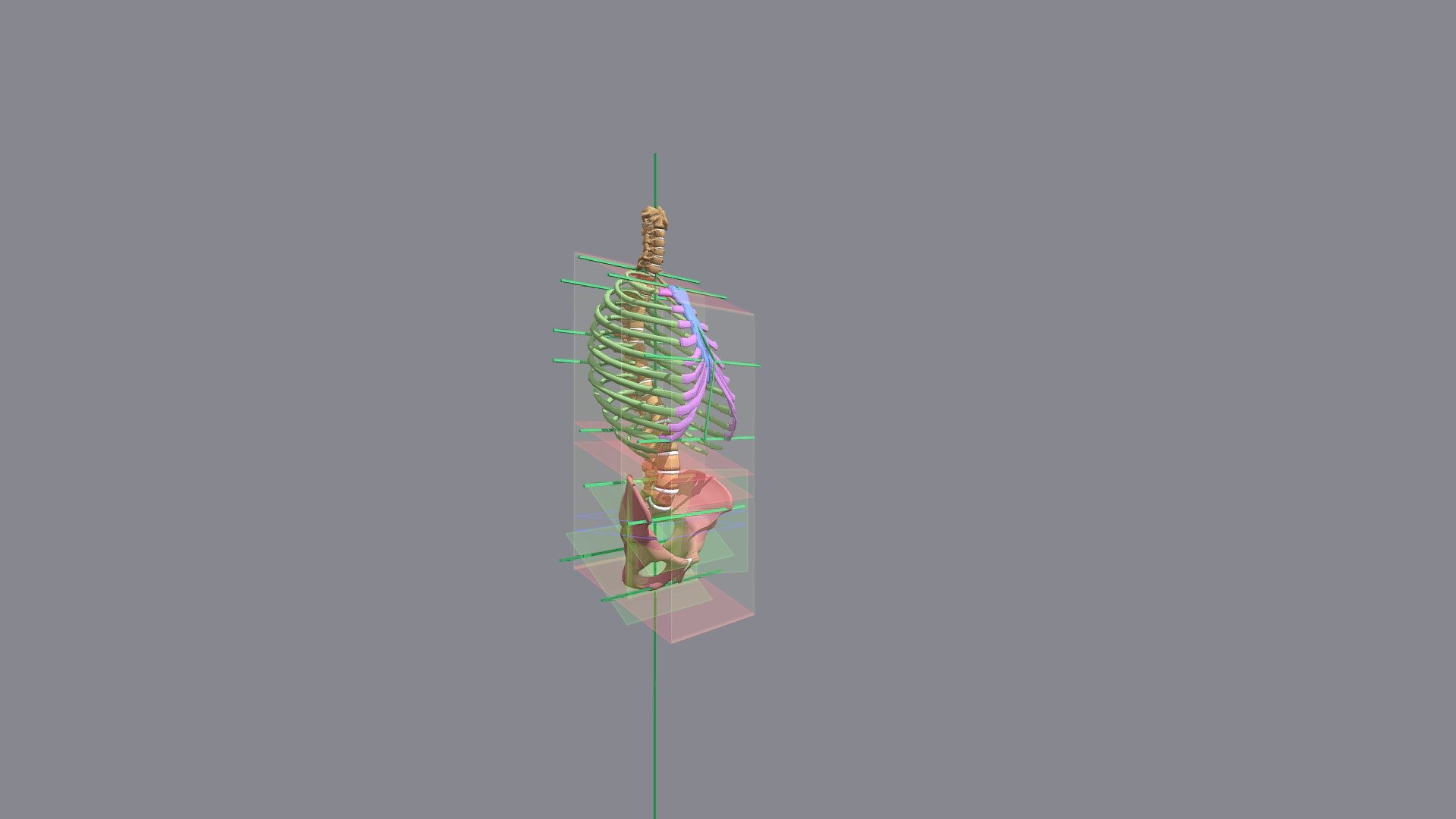 trunk2 - 3D model by crazylion1 [68c165c] - Sketchfab
