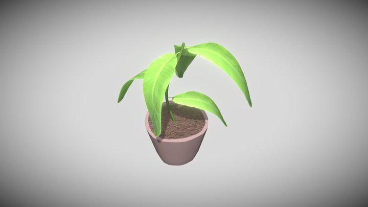 Potted Plant 3D Model