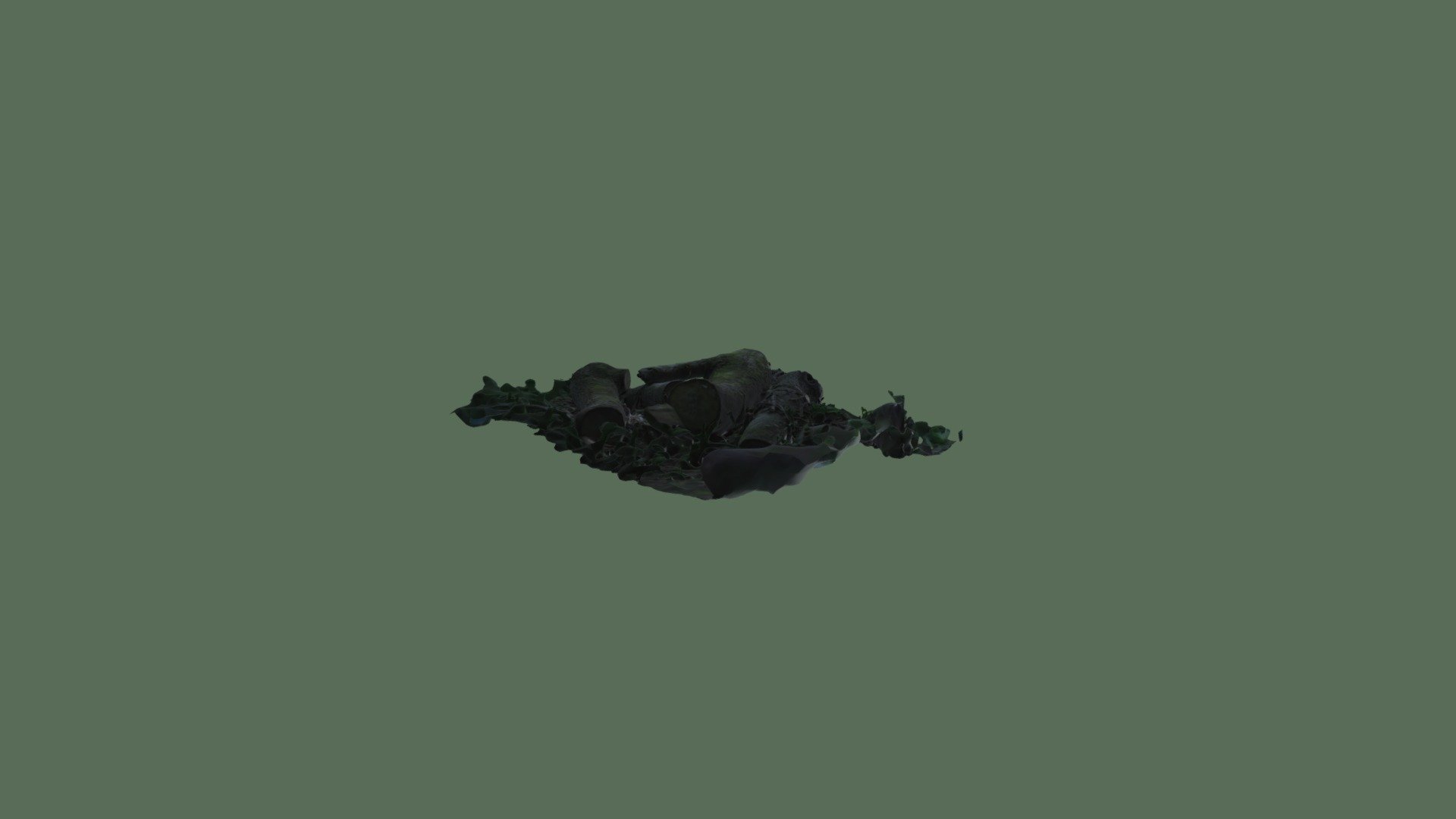 Tree Stump 1