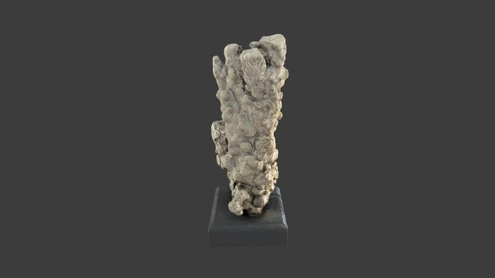 Porites monticulosa – Modello 3D gratuito STL