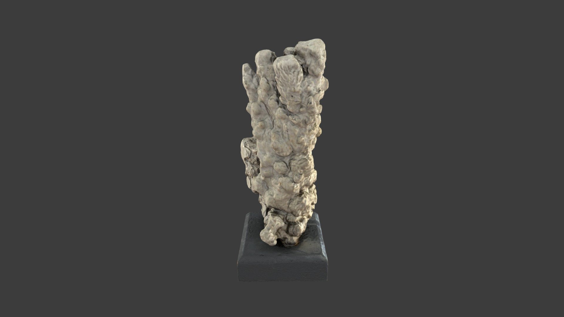 Porites monticulosa