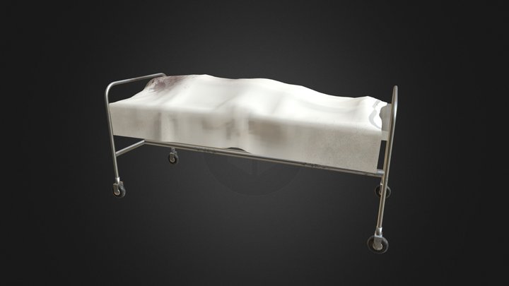 Covered Cadaver Carrier 3D Model