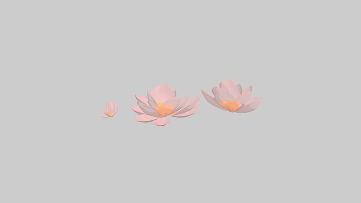 lotus 3D Model