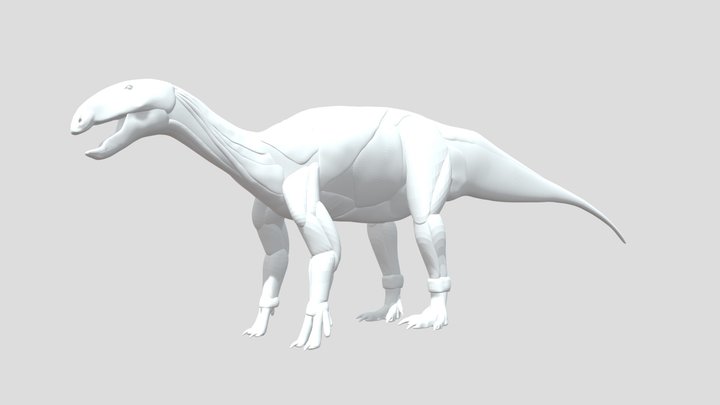 Tenontosaurus tilletti 3D musculature study 3D Model