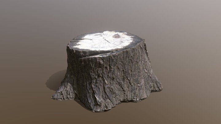 Tree Stump 3D Model