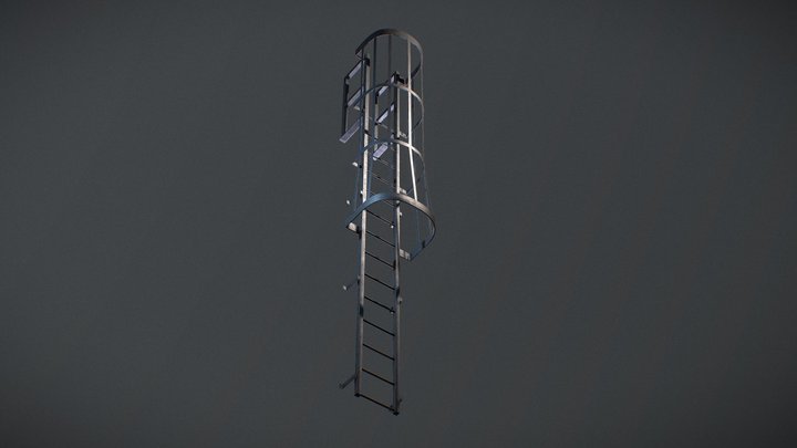 Ladder Cage - Safety Step 3D Model