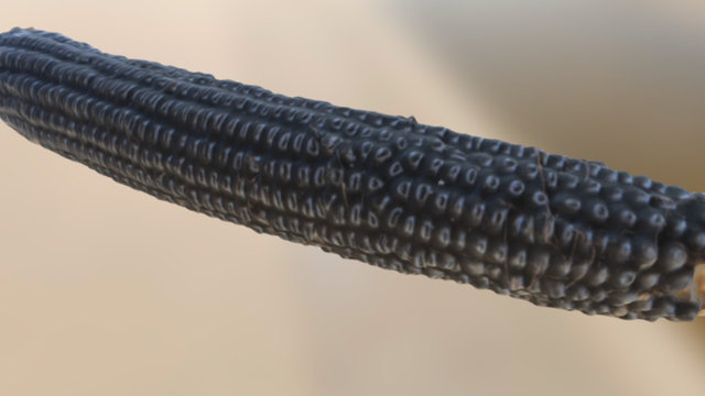 CHP1PS 160815 3D Model