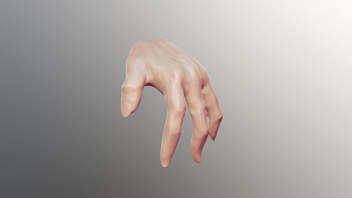 Zbrush Practice #2 3D Model