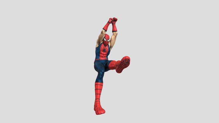 Spidee 3D Model